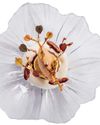 A Sky Full Of (Michelin) Stars18