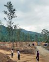 WAYANAD SURVIVORS FACE APATHY9