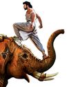 SOUTHERN DHAMAKA SOUTHERN DHAMAKA65