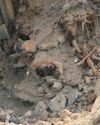 THE EARTH TREMBLED THE EARTH TREMBLED35