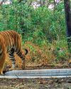 ONE COUNTY FOR CATS OF ALL STRIPES ONE COUNTY FOR CATS OF ALL STRIPES10
