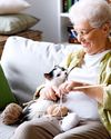 FUR BETTER or worse IS YOUR PET COVERED? FUR BETTER or worse IS YOUR PET COVERED?25