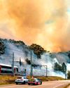 AUSTRALIA'S BUSHFIRE BURNED TO ASHES13