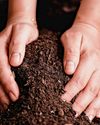 SOIL searching28