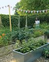 Sowing the seeds for a life of abundance Sowing the seeds for a life of abundance