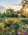 THE ROMANCE OF THE ROSE