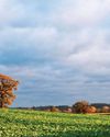 MY FAVOURITE VIEW... Northants farmland