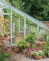 DRIP WATERING Ideal Home UK