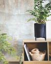 September reset Ideal Home UK