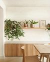 Trailing houseplants16