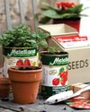 SOWING SEEDS INDOORS17