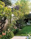 Calming oasis17