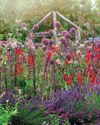 garden news16