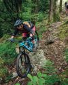 TRAIL COLLECTIVE NORTH WALES