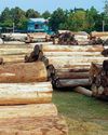 Sunseeker fined in US for illegally sourced teak Sunseeker fined in US for illegally sourced teak2