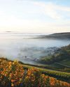 Sincere SANCERRE6