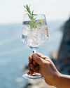 Ginebra Gin with Spanish style10