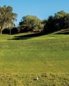 How to chip to a raised green11