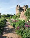 Ferns, battles and strawberry tarts