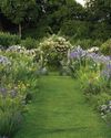 The legacy Gertrude Jekyll and herbaceous planting The legacy Gertrude Jekyll and herbaceous planting
