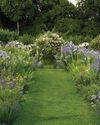 The legacy Gertrude Jekyll and herbaceous planting