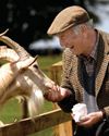 Joe Henson and native breeds Joe Henson and native breeds