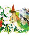 In cloud cuckoo land In cloud cuckoo land