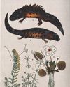 Beastly Britain: An Animal History Beastly Britain: An Animal History