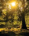 London Life Your indispensable guide to the capital Country Life UK