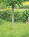 Seating plans Country Life UK