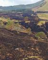 Burning topic causes heated debate Country Life UK