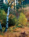 Country Life UK