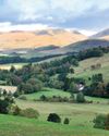 Land Reform (Scotland) Bill branded 'junk law'1