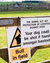 Lords unleashes support for dog-worrying bill3