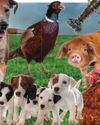 Country Life UK