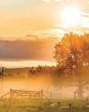 Country Life UK