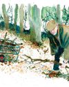 Country Life UK