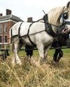 Country Life UK