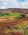 Country Life UK