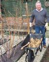 Removing a tree stump