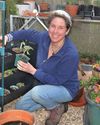 It's all go in the greenhouse