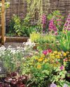 The town dweller's guide to Cottage gardens