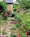 Up the garden path