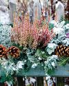 Create a winter container Create a winter container