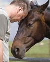 Equine therapy field growing as more people see horses' benefits