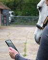 Technology cannot replace people in animal welfare