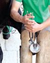 Welfare concerns over Scottish farrier shortage