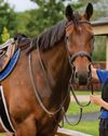 Godolphin Lifetime Care