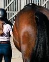 Understanding What Affects Acceptance of Equestrian Sport - New large-scale research is aimed at digging deeper into what goes into forming public opinion.