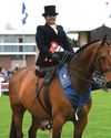 County show director